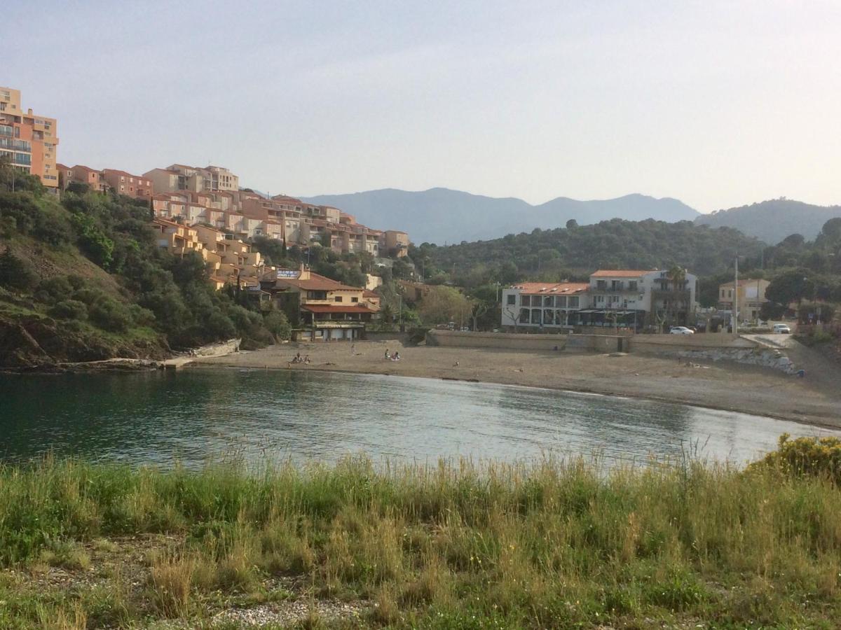 Face A La Mer Residence Les Elmes Banyuls-sur-Mer Exterior photo